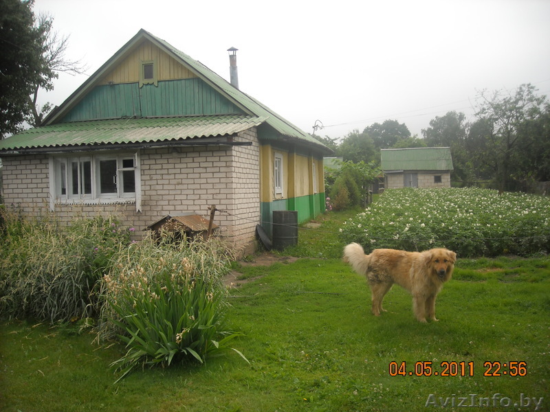 Продается дом с учвстком 40 соток в д.Издрашево - Изображение #1, Объявление #294154