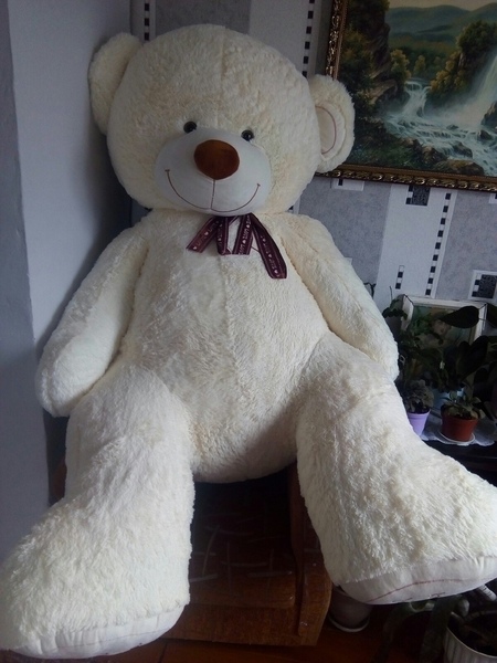 МУЗЫКАЛЬНЫЙ МИШКА - Изображение #1, Объявление #1650981