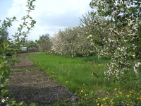 продажа дома в д.Кулаки - Изображение #2, Объявление #6449