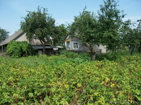 Усадьба в г.п. Старобин - Изображение #3, Объявление #110630