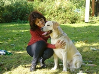 Предлагаеться для вязки - Изображение #1, Объявление #108493