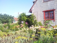 Продам дачу в кооперативе Горняк-3, 15 км от Солигорска - Изображение #2, Объявление #775326