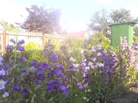 Продам дачу в кооперативе Горняк-3, 15 км от Солигорска - Изображение #6, Объявление #775326