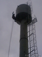 Спилить аварийное, старое, сухое, большого диаметра дерево угрожающее зданию. - Изображение #3, Объявление #993446