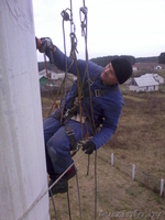 Спилить аварийное, старое, сухое, большого диаметра дерево угрожающее зданию. - Изображение #2, Объявление #993446