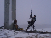 Спилить аварийное, старое, сухое, большого диаметра дерево угрожающее зданию. - Изображение #4, Объявление #993446