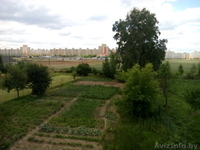 Коттедж 300м от города. - Изображение #5, Объявление #1292077