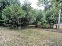 Продается дом в Поместии - Изображение #6, Объявление #1289687