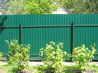 Нержавеющие ограждения - Изображение #3, Объявление #1079033