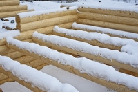  Сруб загородного дома в стиле "тайга". - Изображение #8, Объявление #1625238