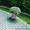 Укладка тротуарной плитки Солигорский район - Изображение #3, Объявление #1574994