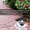 Укладка тротуарной Плитки, мощение дорожек от 35м2 Солигорск - Изображение #1, Объявление #1614011