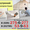  Комплексный ремонт квартир (укладка плитки) Слуцк, Солигорск - Изображение #4, Объявление #1446242