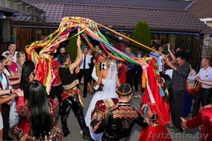 Цыганское шоу Кустурица на праздник