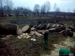 Колка дров. Поколоть дрова на дому. Быстро и надежно.