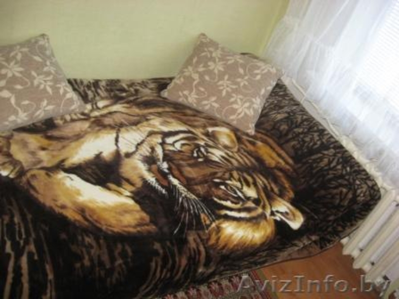 однокомнатная квартира на сутки, часы - Изображение #3, Объявление #535535