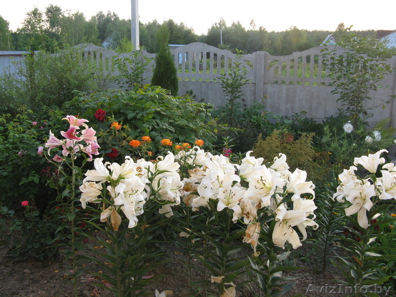 Продам дом с гаражом - Изображение #2, Объявление #730415