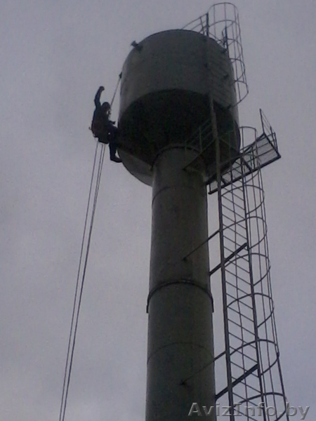 Спилить аварийное, старое, сухое, большого диаметра дерево угрожающее зданию. - Изображение #3, Объявление #993446
