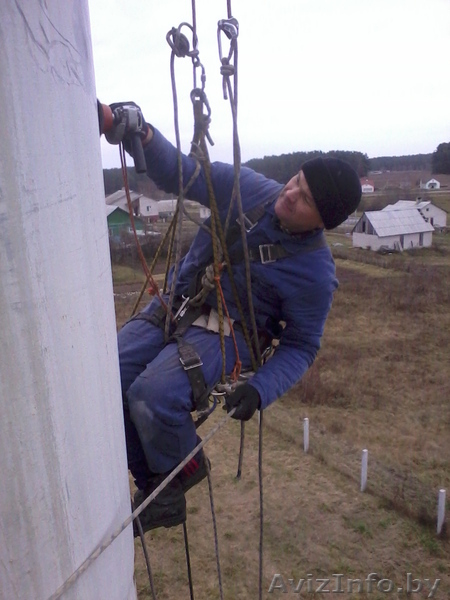 Спилить аварийное, старое, сухое, большого диаметра дерево угрожающее зданию. - Изображение #2, Объявление #993446