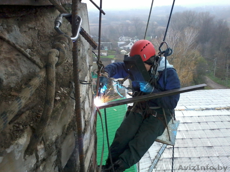 Спилить аварийное, старое, сухое, большого диаметра дерево угрожающее зданию. - Изображение #7, Объявление #993446