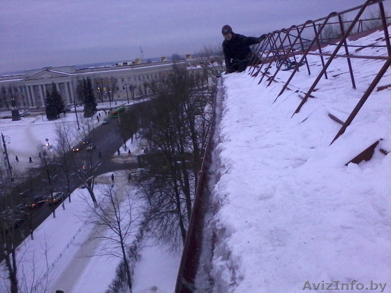 Спилить аварийное, старое, сухое, большого диаметра дерево угрожающее зданию. - Изображение #8, Объявление #993446