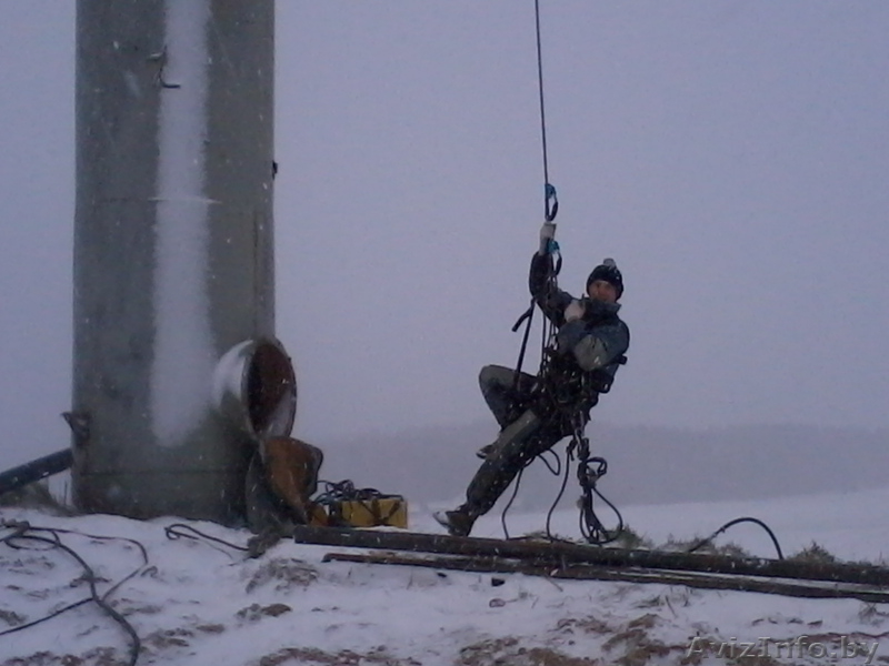 Спилить аварийное, старое, сухое, большого диаметра дерево угрожающее зданию. - Изображение #4, Объявление #993446