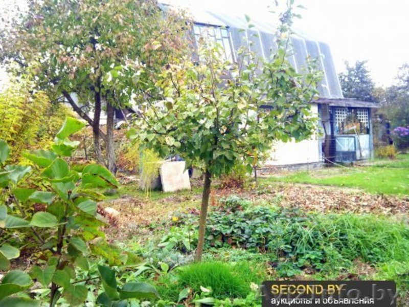 Дача в районе д.Летенец - Изображение #1, Объявление #1064069