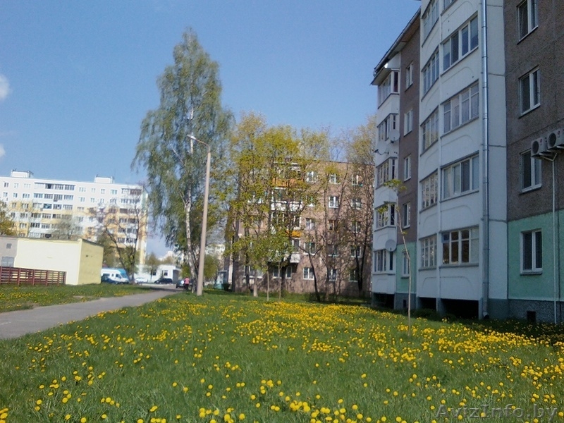 2 хкомнатную квартиру - Изображение #2, Объявление #1535060